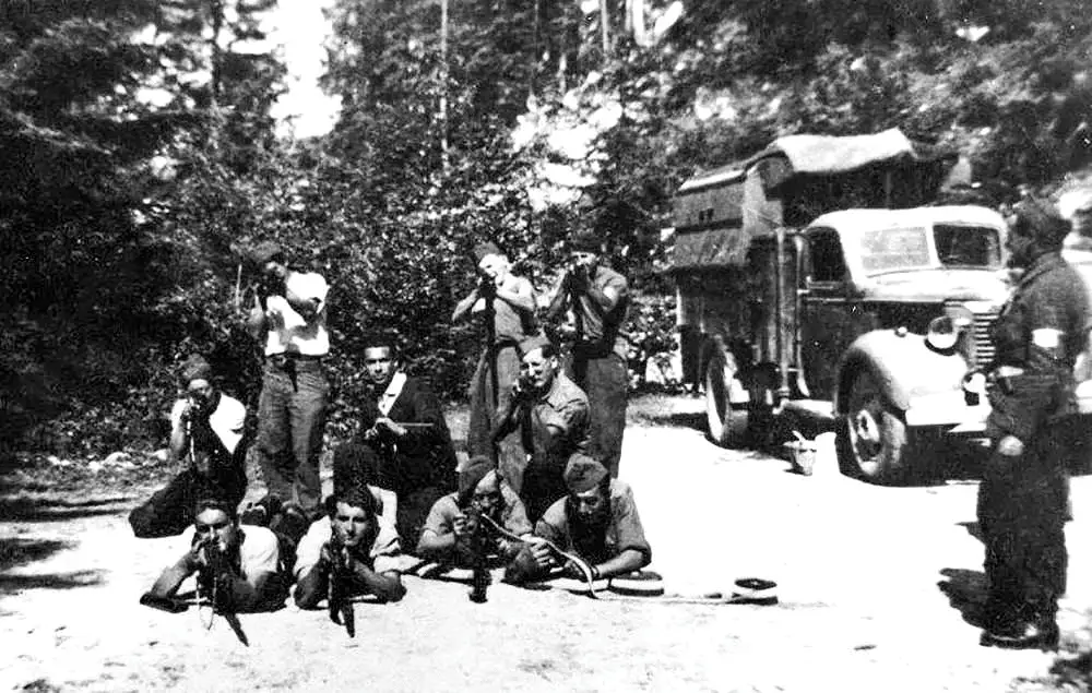The Battle of Vercors