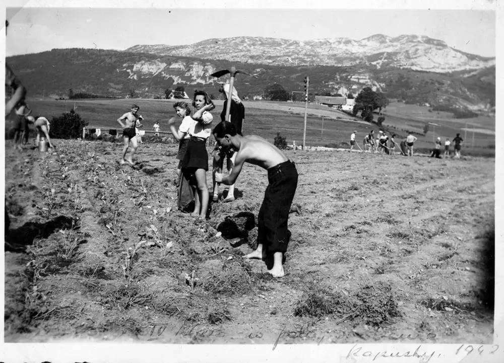 Ferdynant Kraczkowski - 044