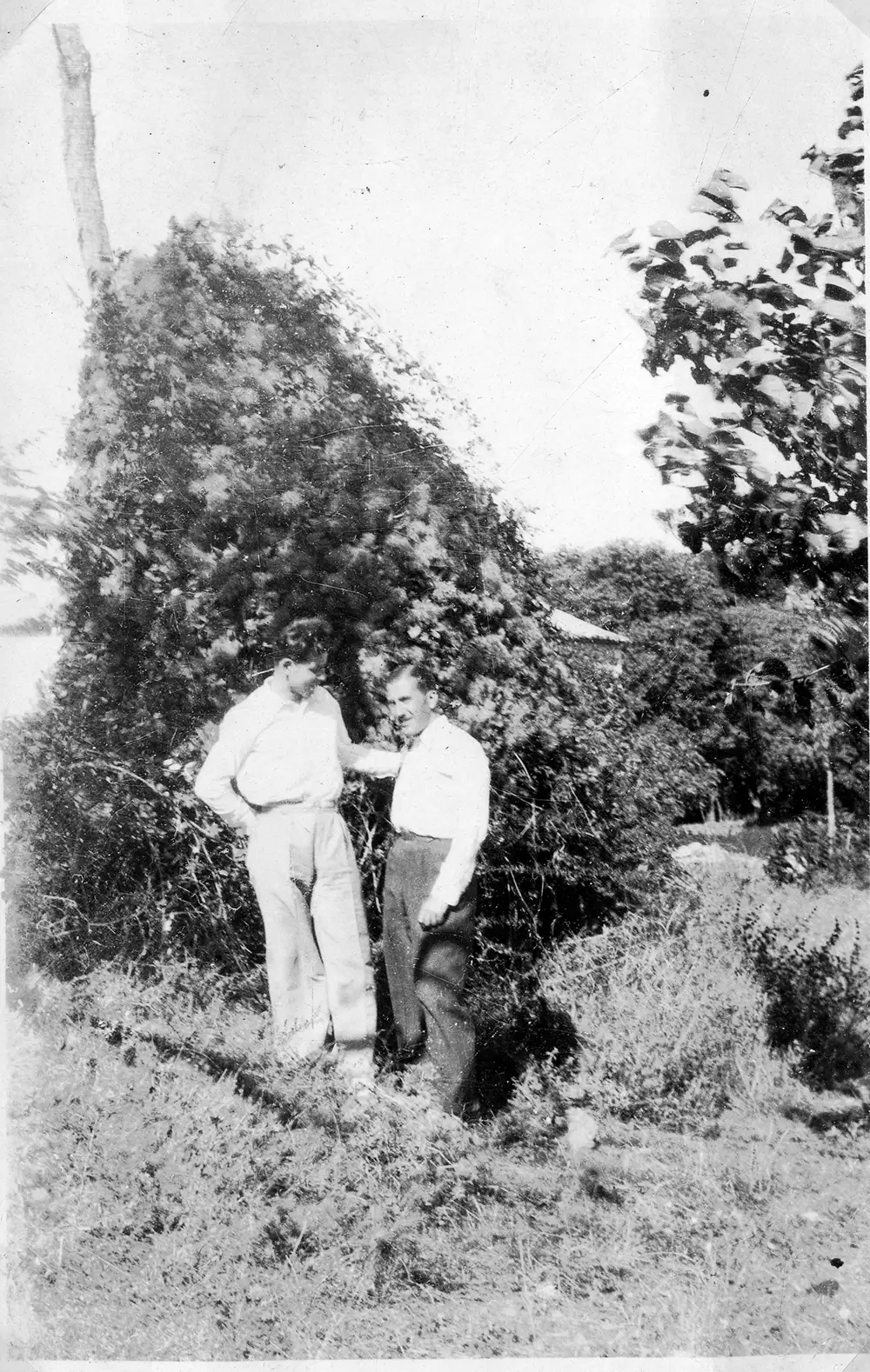 Ferdynant Kraczkowski - 175